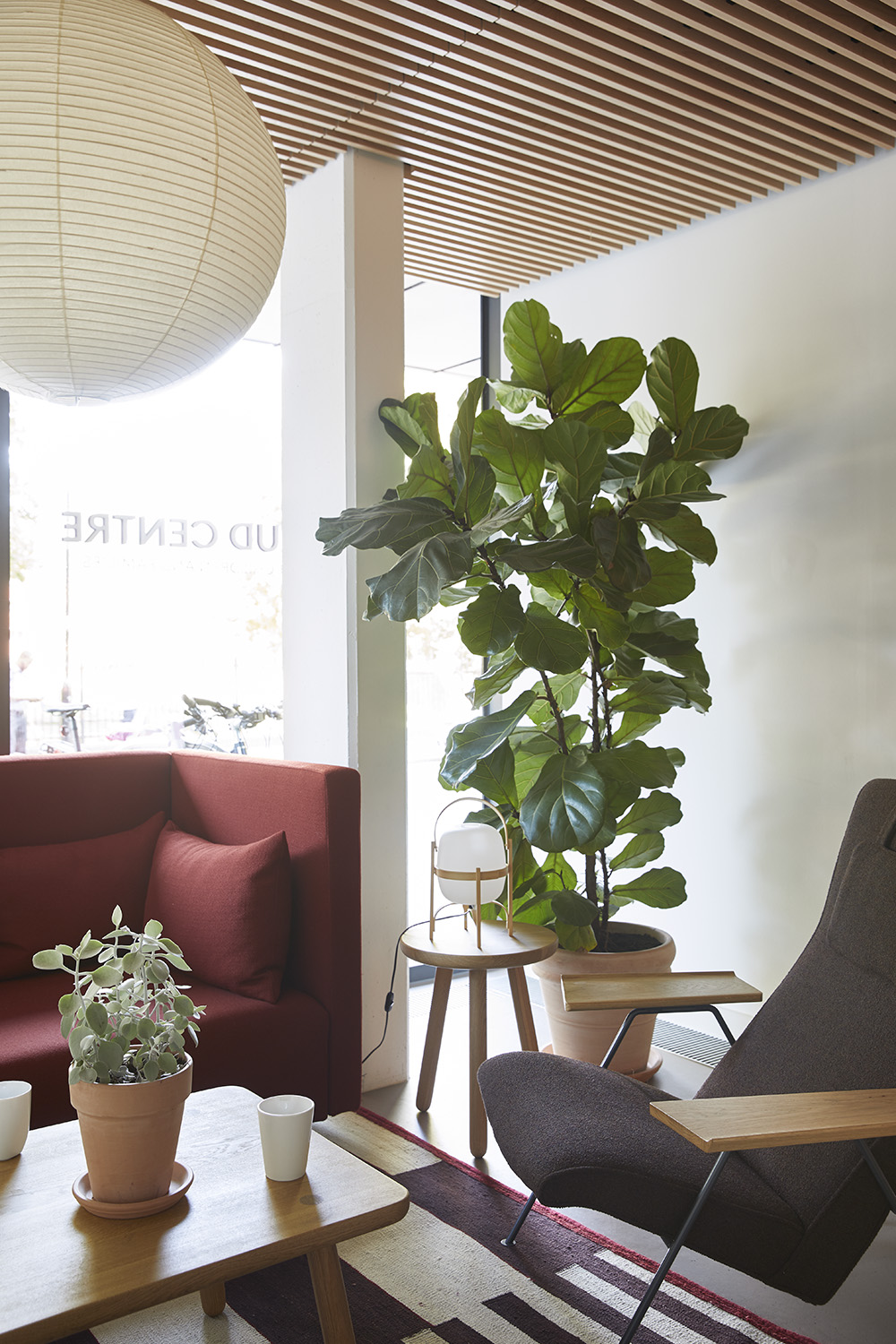 Anna Freud Centre - Ilse Crawford
